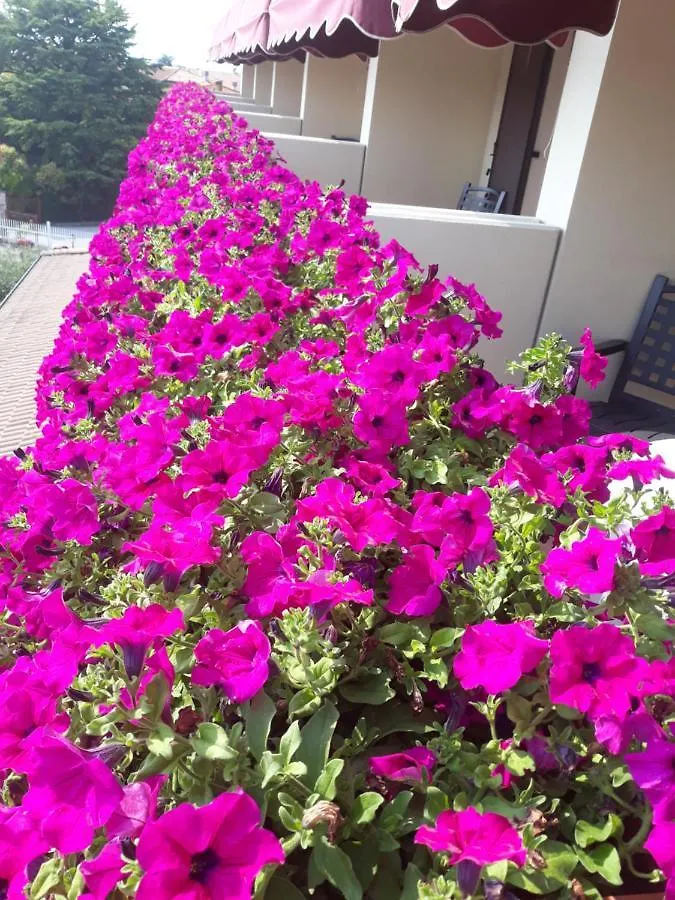 Hotel Da Roberto Lazise